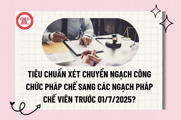 Pháp luật