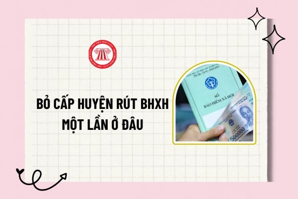 Pháp luật