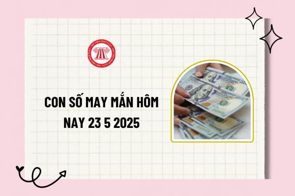Pháp luật
