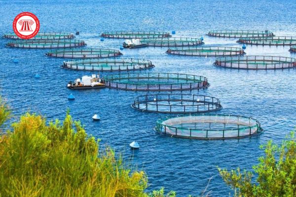 Tổ chức, cá nhân có thể xin gia hạn thời hạn giao khu vực biển để nuôi trồng thủy sản tối đa bao nhiêu năm?