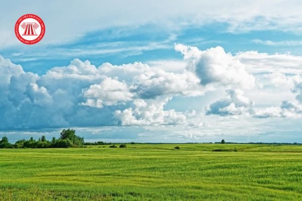 Nhóm người sử dụng đất mà có chung quyền sử dụng đất thì ai là người chịu trách nhiệm trước Nhà nước đối với việc sử dụng đất?