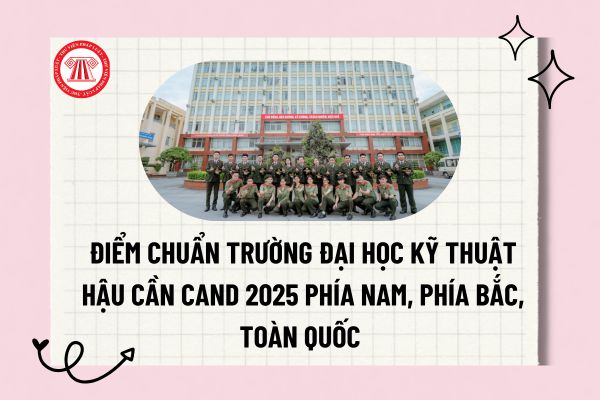 Pháp luật