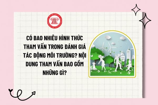 Có bao nhiêu hình thức tham vấn trong đánh giá tác động môi trường? Nội dung tham vấn bao gồm những gì?