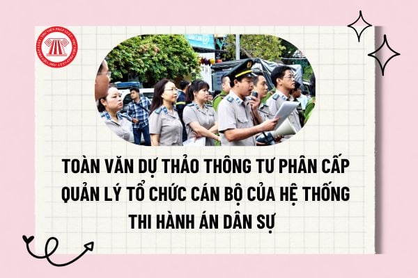 Pháp luật