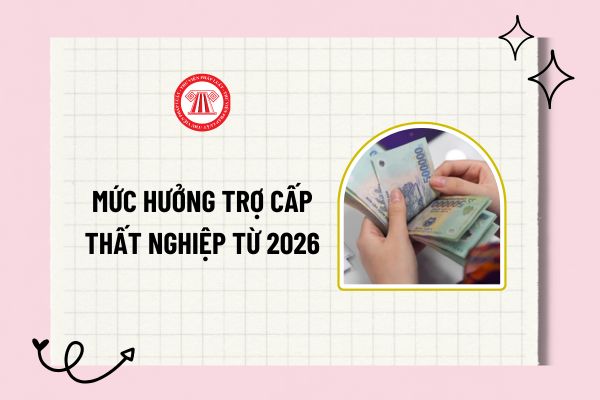 Pháp luật