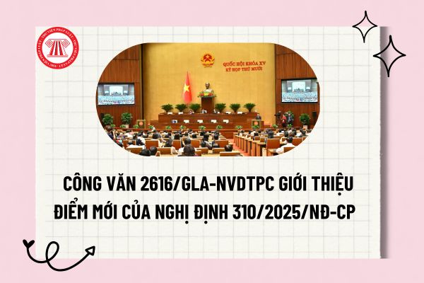 Pháp luật