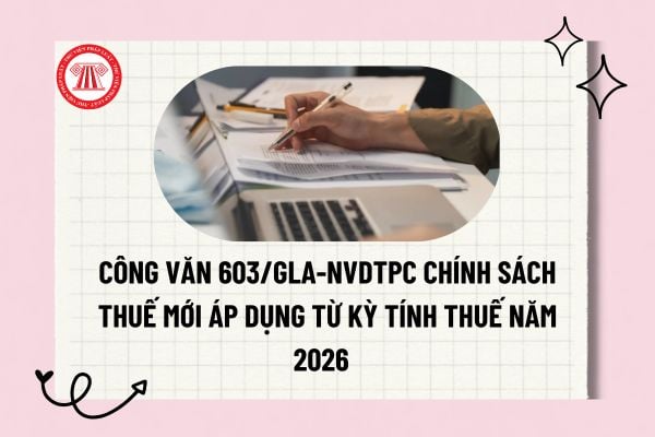 Công văn 603/GLA-NVDTPC chính sách thuế mới áp dụng từ kỳ tính thuế năm 2026 ra sao? Tải về Công văn 603? 