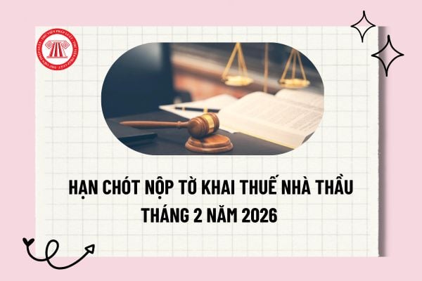 Pháp luật