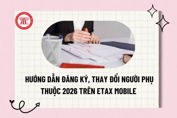 Pháp luật