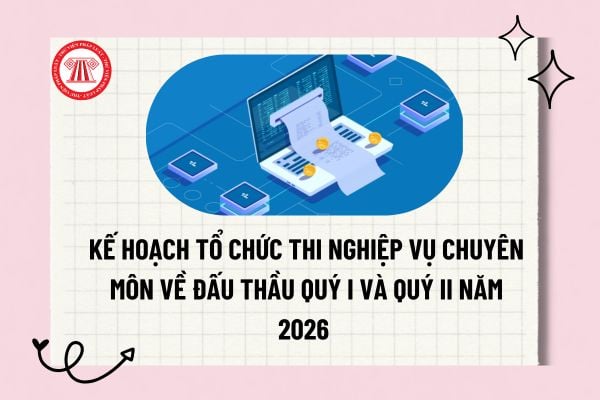 Pháp luật