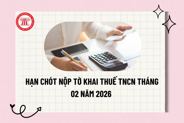 Pháp luật
