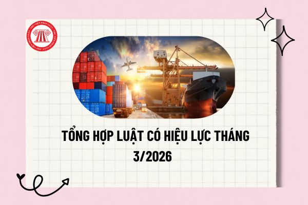 Pháp luật