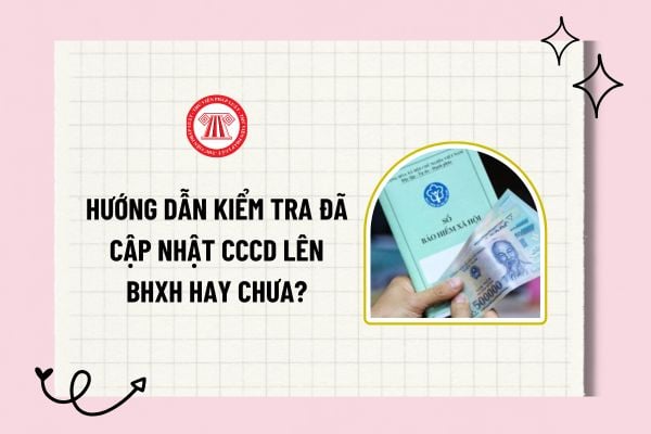 Hướng dẫn kiểm tra đã cập nhật CCCD lên BHXH hay chưa chi tiết? Cấp lại sổ BHXH thay đổi thông tin CCCD không?