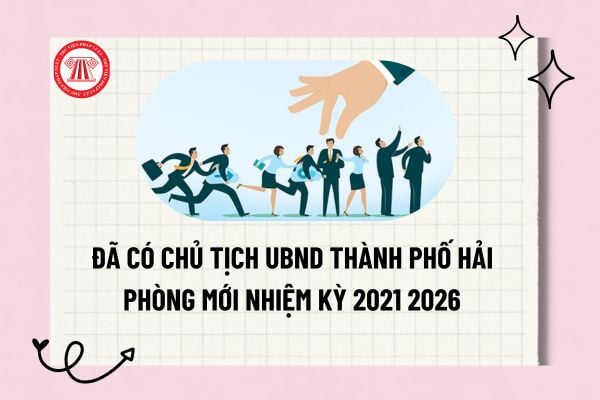 Pháp luật