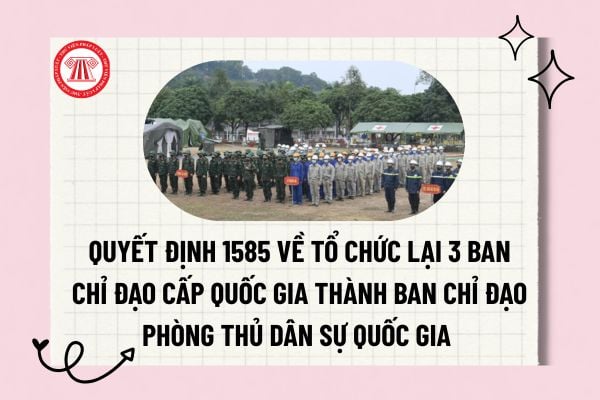 Pháp luật