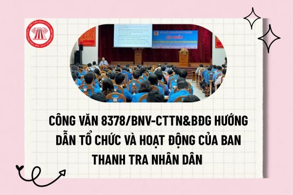 Pháp luật