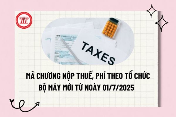 Pháp luật
