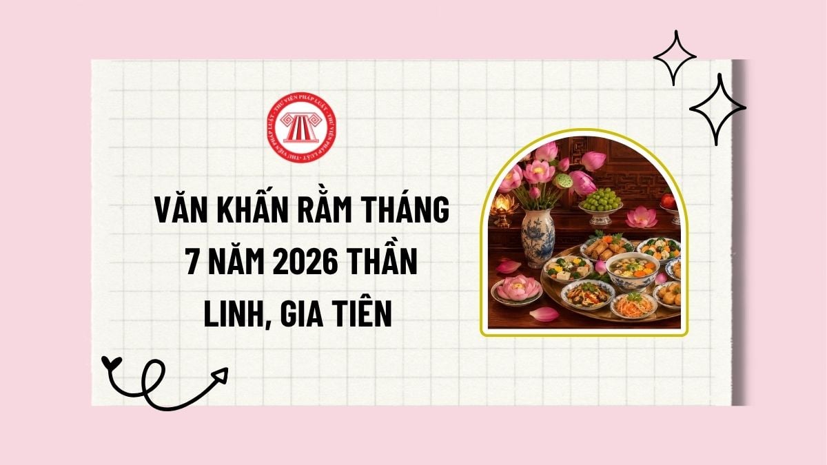 Pháp luật