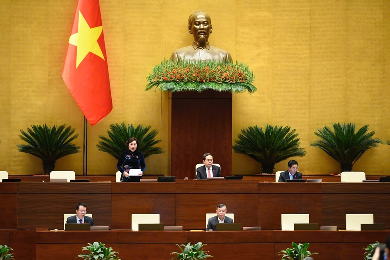 Pháp luật