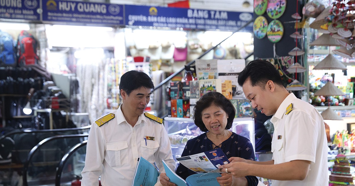 Pháp luật