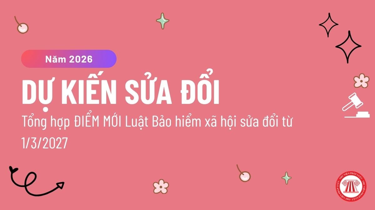 Pháp luật