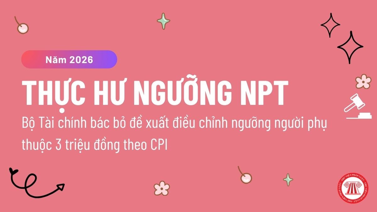 Pháp luật
