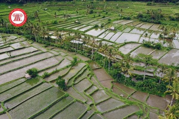 Cá nhân được Nhà nước cho thuê đất thu tiền thuê đất hằng năm được bán tài sản gắn liền với đất theo Luật Đất đai mới khi nào?