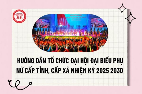 Pháp luật