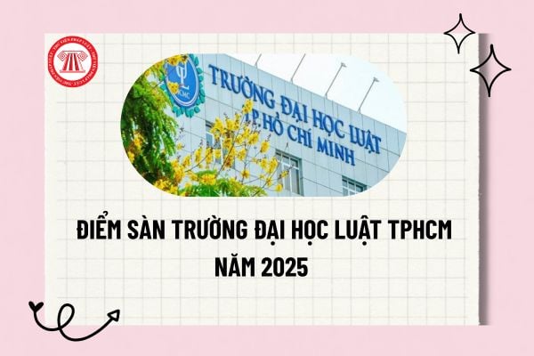 Pháp luật