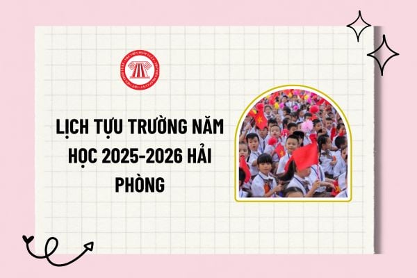 Pháp luật