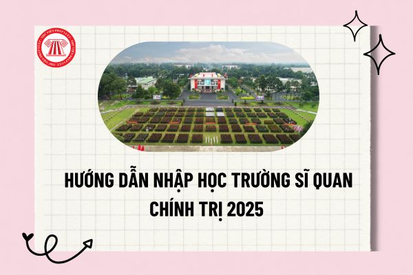 Pháp luật