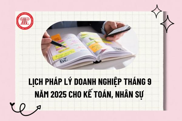Pháp luật