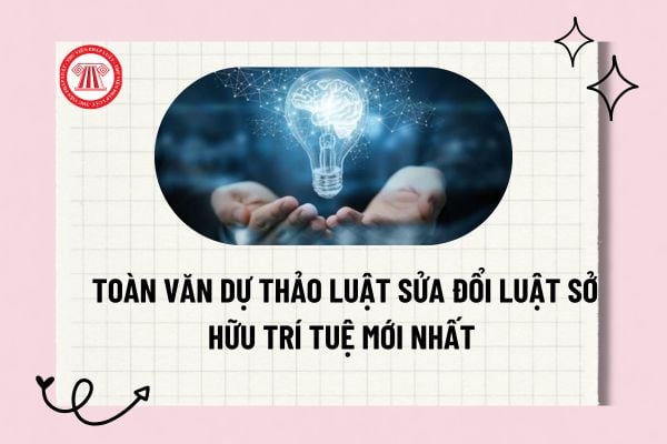 Pháp luật