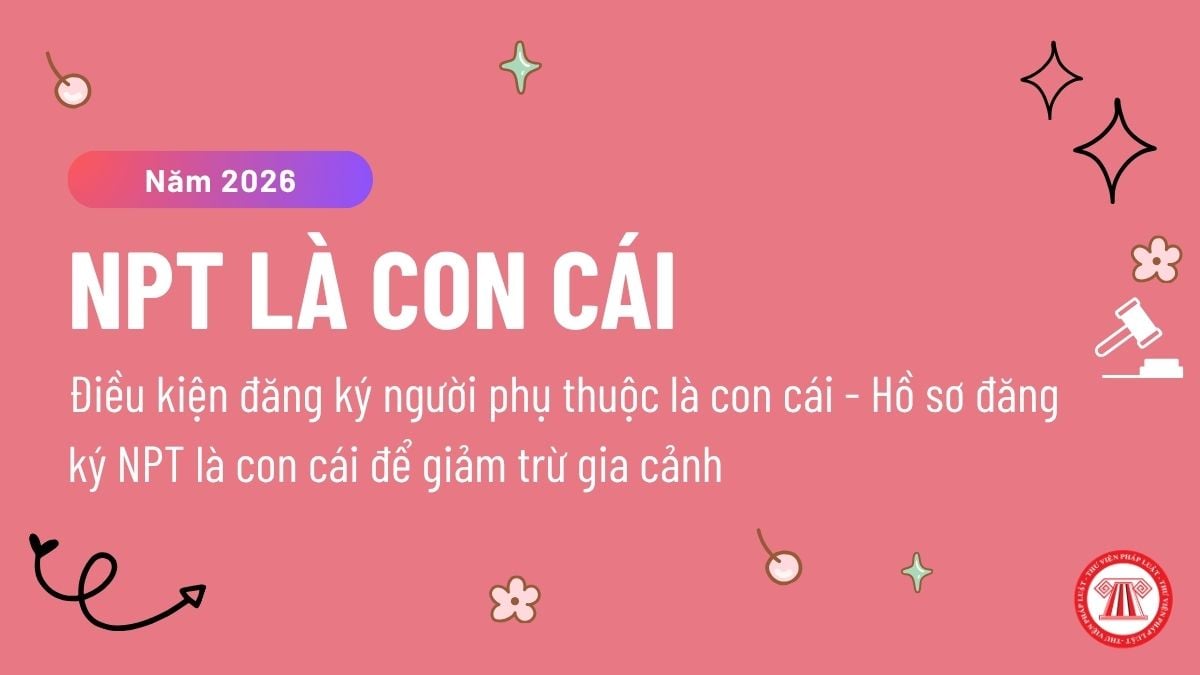 Pháp luật