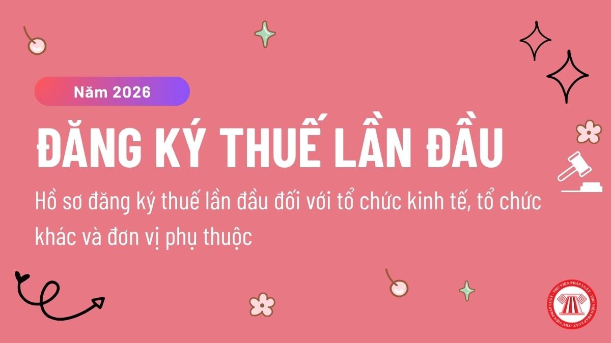 Pháp luật