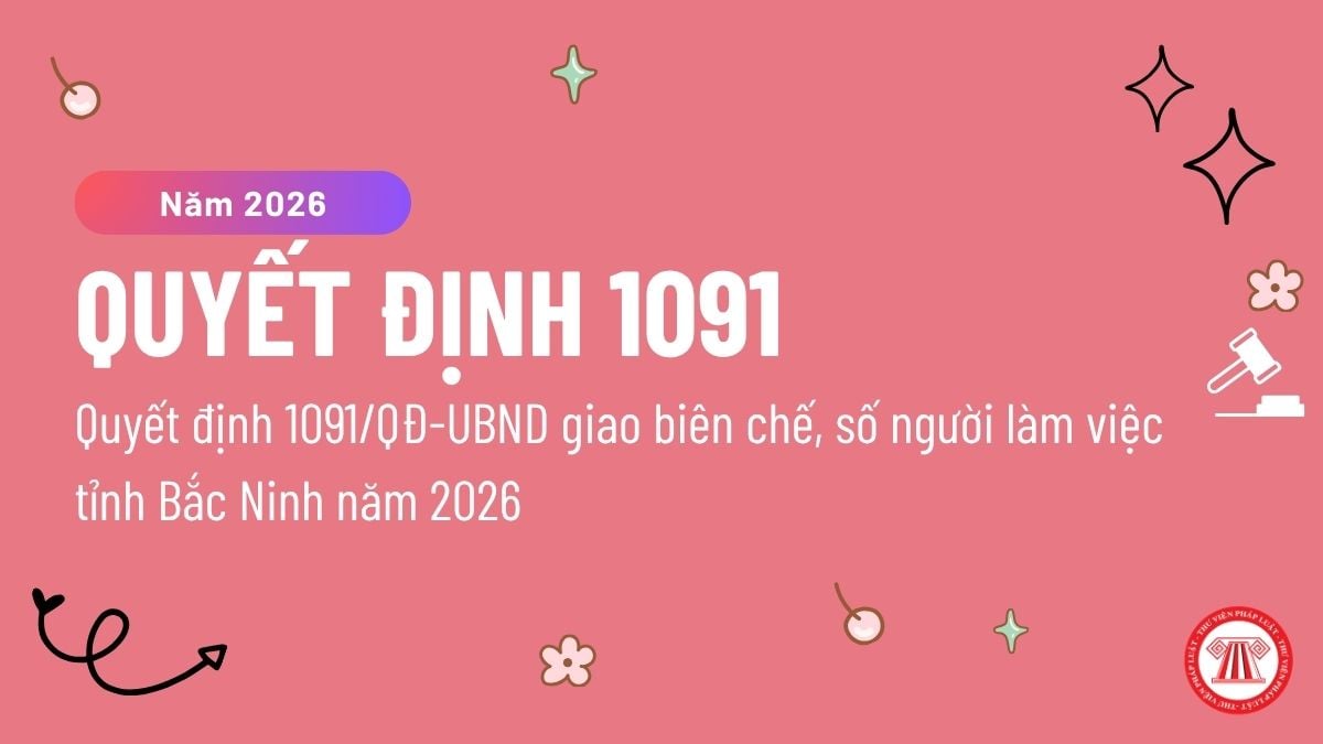 Pháp luật