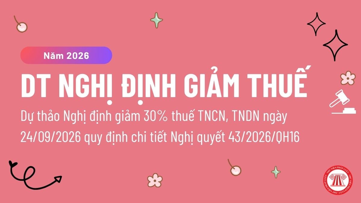 Pháp luật