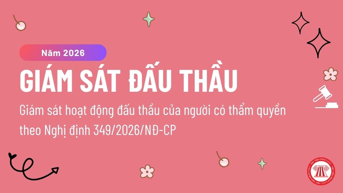 Pháp luật