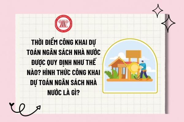 Thời điểm công khai dự toán ngân sách nhà nước được quy định như thế nào? Hình thức công khai dự toán ngân sách nhà nước là gì?