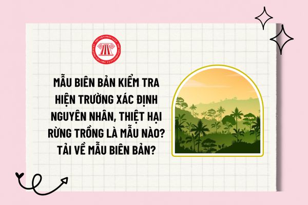 Mẫu biên bản kiểm tra hiện trường xác định nguyên nhân, thiệt hại rừng trồng là mẫu nào? Tải về mẫu biên bản?