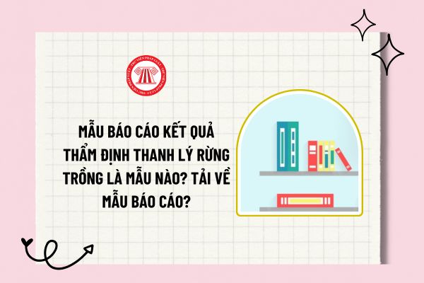 Mẫu báo cáo kết quả thẩm định thanh lý rừng trồng là mẫu nào? Tải về mẫu báo cáo kết quả thẩm định thanh lý rừng trồng?