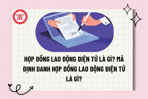 Pháp luật
