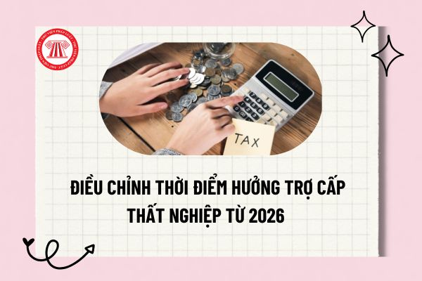 Pháp luật