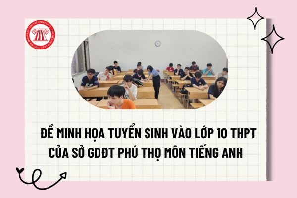 Pháp luật