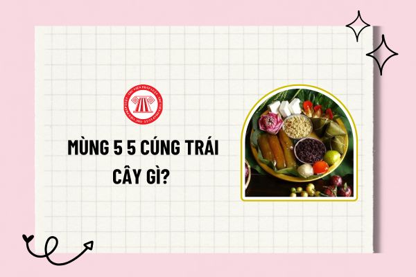 Pháp luật