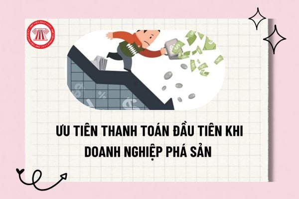Pháp luật