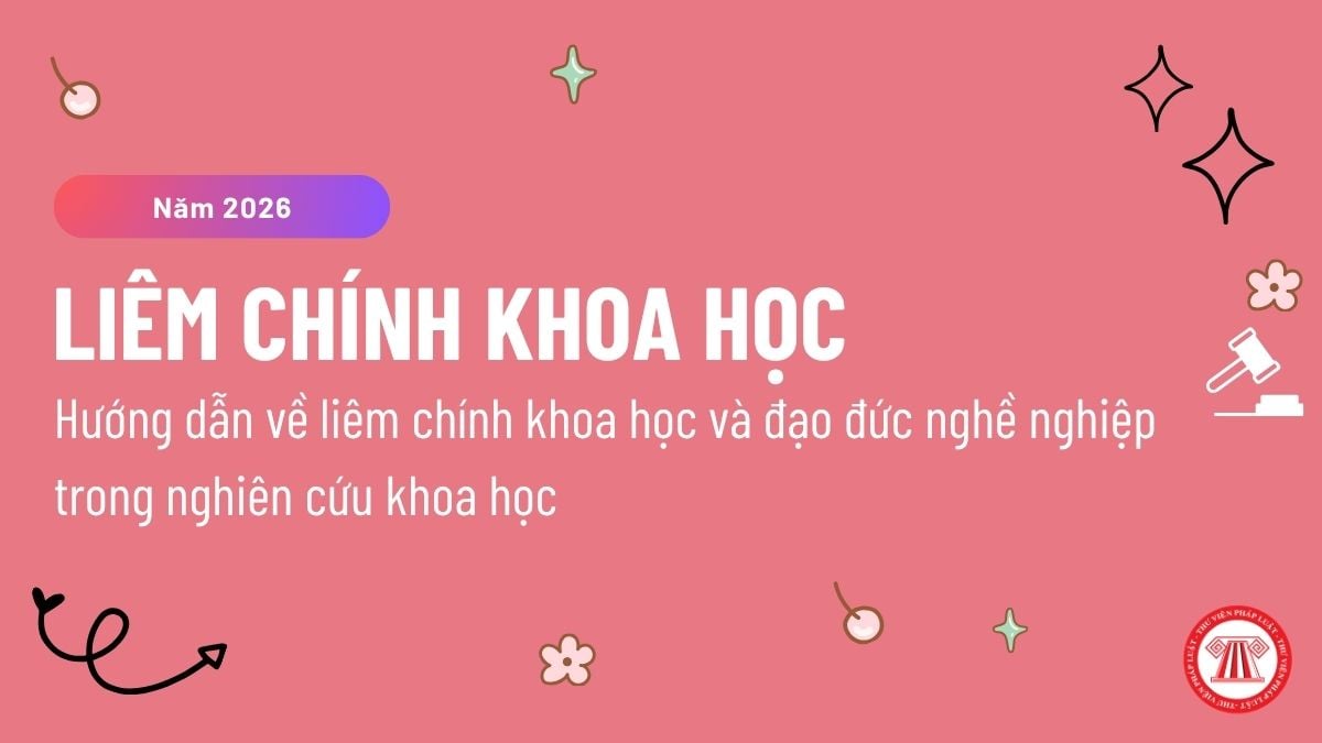 Pháp luật