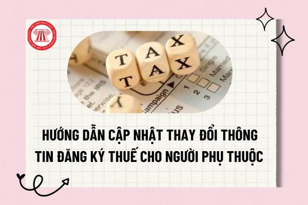 Pháp luật
