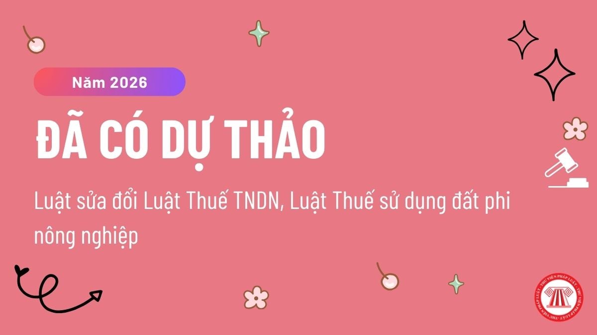 Pháp luật
