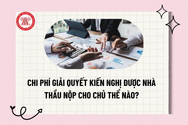 Pháp luật